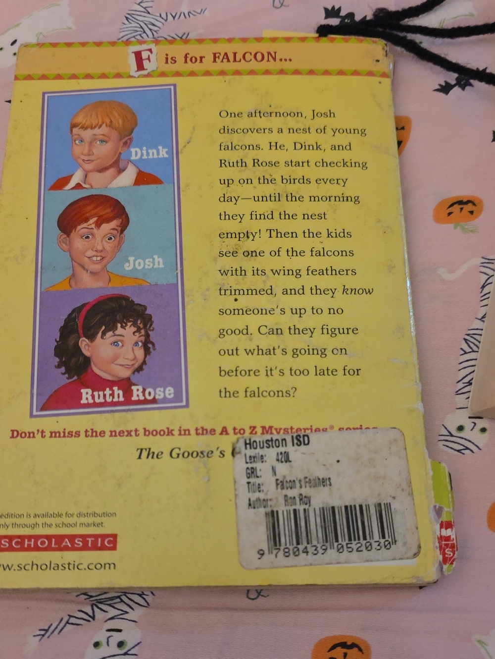 3 Chapter Books - Picture 3 of 4